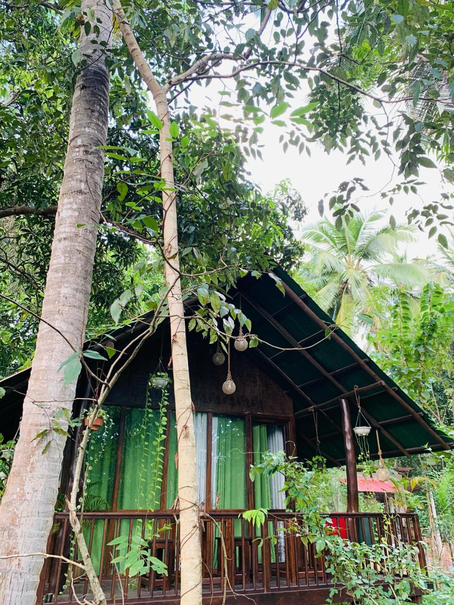 Nature World Jungle Paradise Удавалаве Номер фото